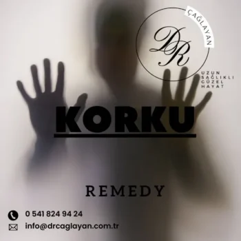 Korku